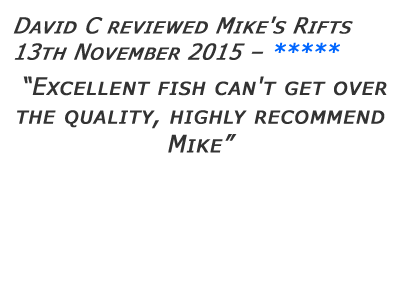 Mikes Rifts Review 25